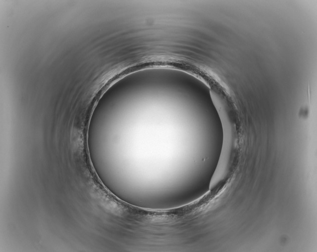 X0000094201025200711021047