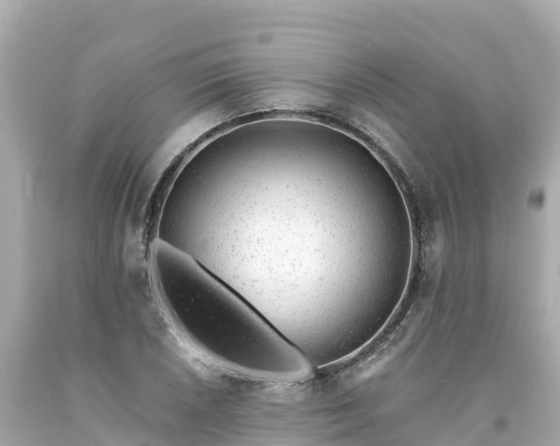 X0000094201026200711021047