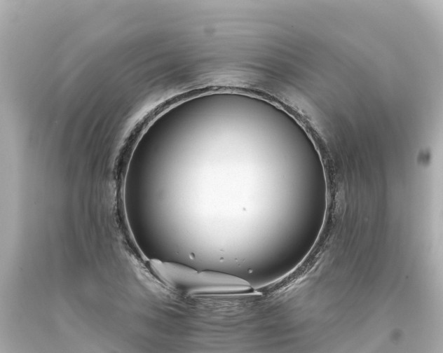 X0000094201027200711021047