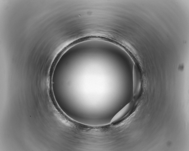 X0000094201028200711021047