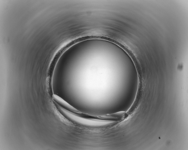 X0000094201029200711021047