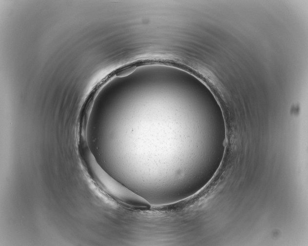X0000094201030200711021047