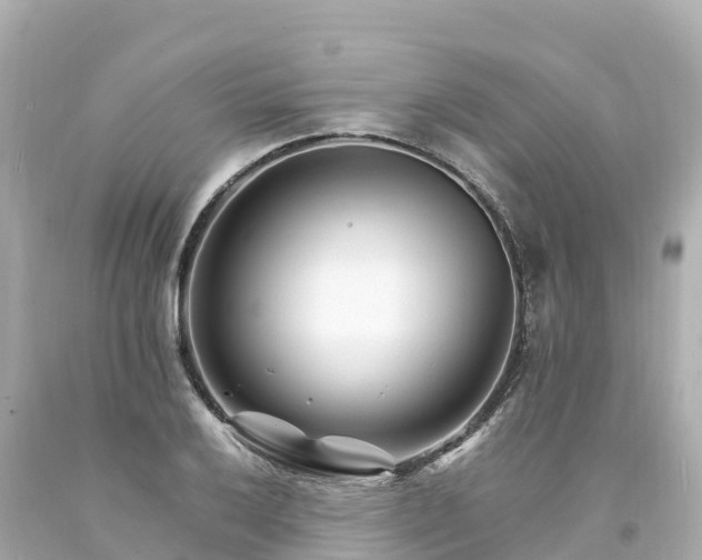 X0000094201032200711021047
