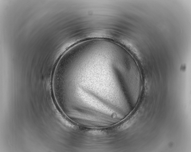 X0000094201033200711021047