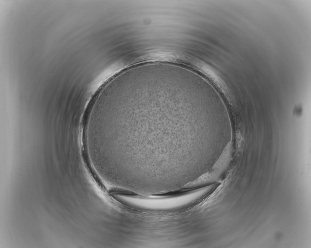 X0000094201034200711021047