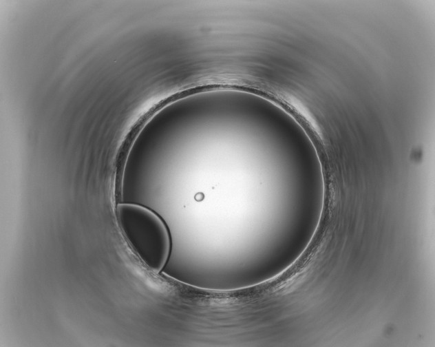 X0000094201035200711021047