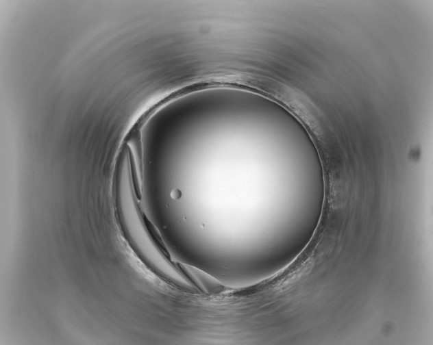 X0000094201036200711021047