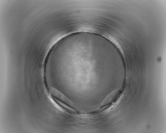 X0000094201037200711021047