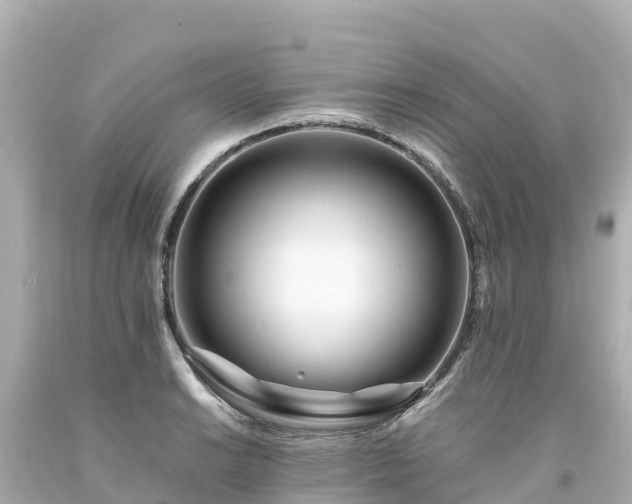 X0000094201038200711021047