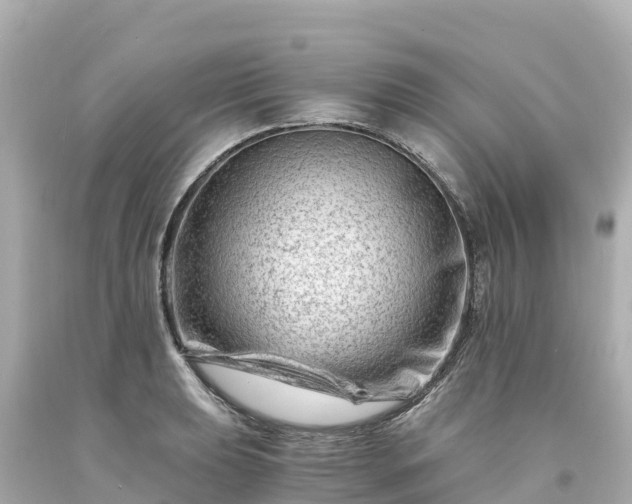 X0000094201039200711021047