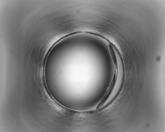 X0000094201040200711021047