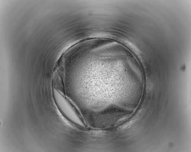 X0000094201041200711021047