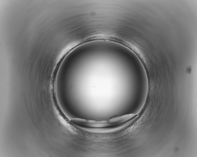 X0000094201042200711021047