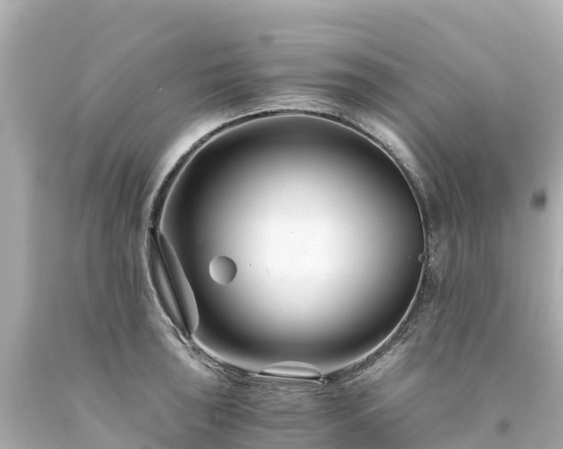 X0000094201043200711021047