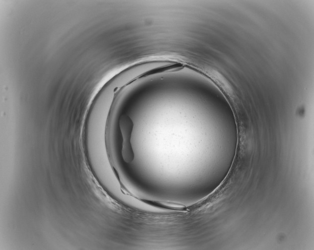 X0000094201044200711021047