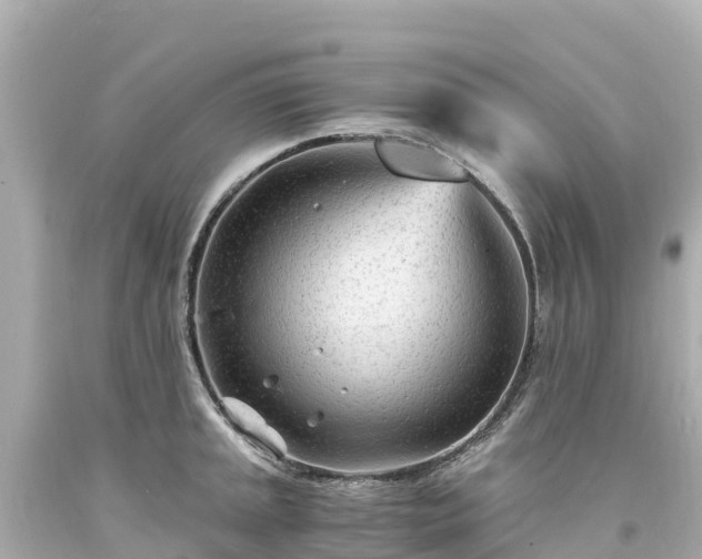 X0000094201045200711021047