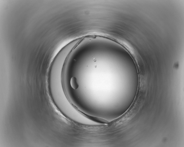 X0000094201048200711021047