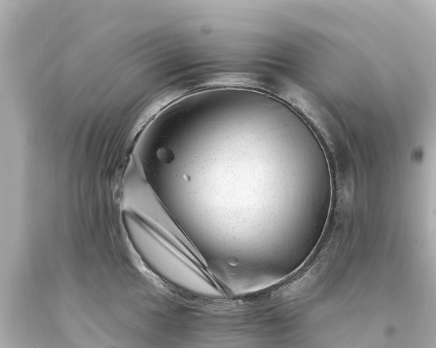 X0000094201049200711021047