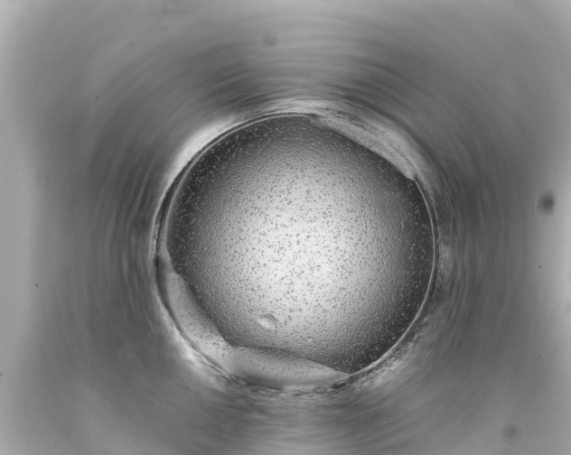 X0000094201050200711021047