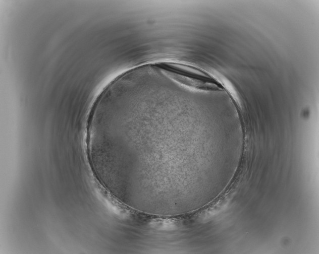 X0000094201051200711021047