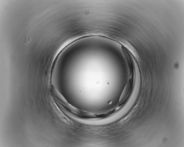 X0000094201052200711021047