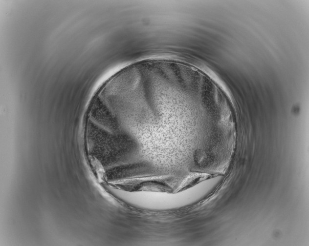 X0000094201053200711021047
