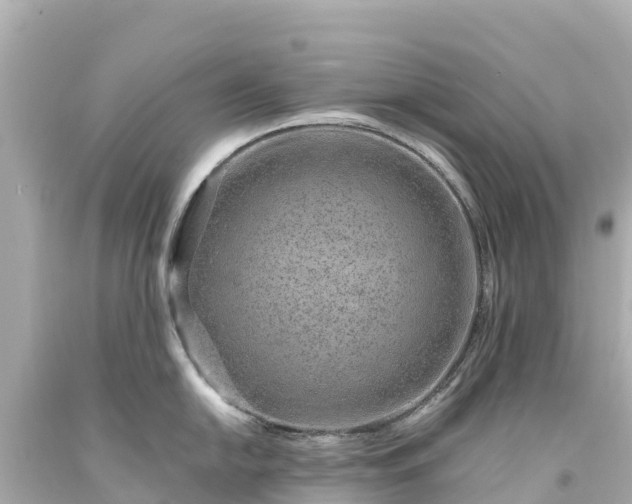 X0000094201054200711021047