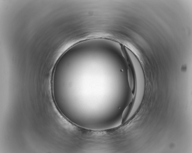 X0000094201055200711021047
