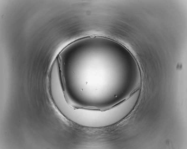X0000094201056200711021047