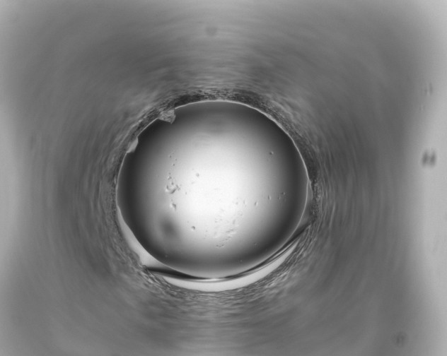 X0000094201057200711021046