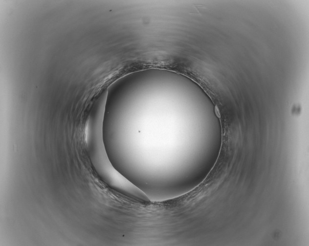 X0000094201058200711021046