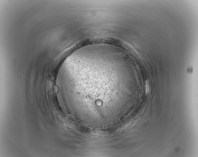 X0000094201059200711021046