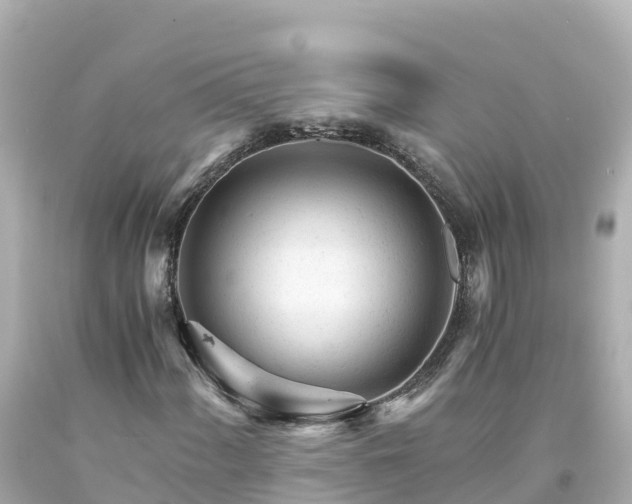 X0000094201060200711021046
