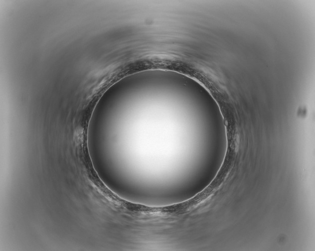 X0000094201061200711021046