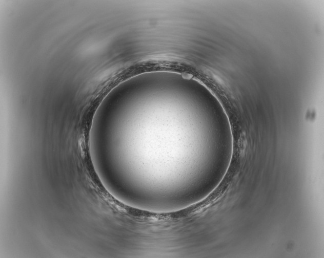 X0000094201062200711021046