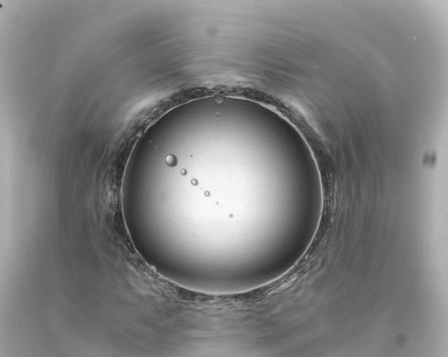 X0000094201063200711021046