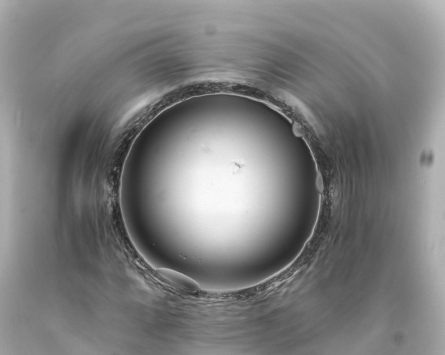 X0000094201064200711021046
