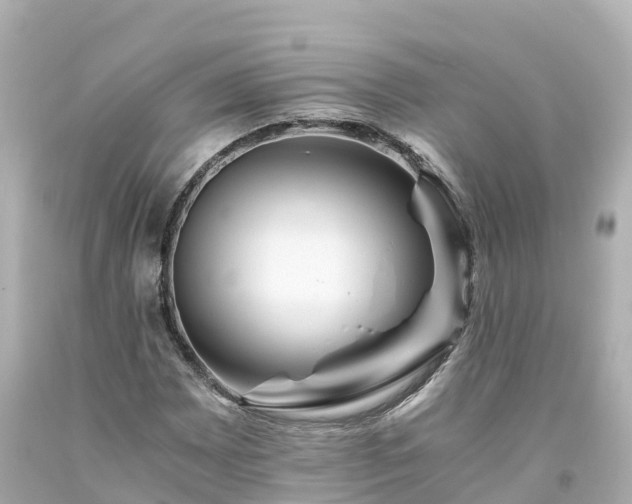 X0000094201065200711021046