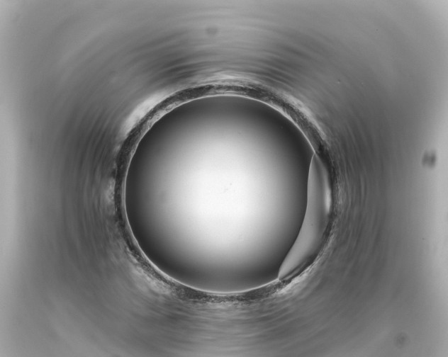 X0000094201066200711021046