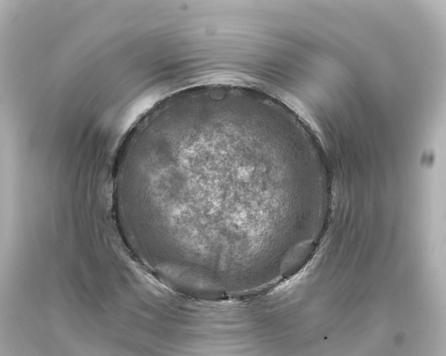 X0000094201067200711021046