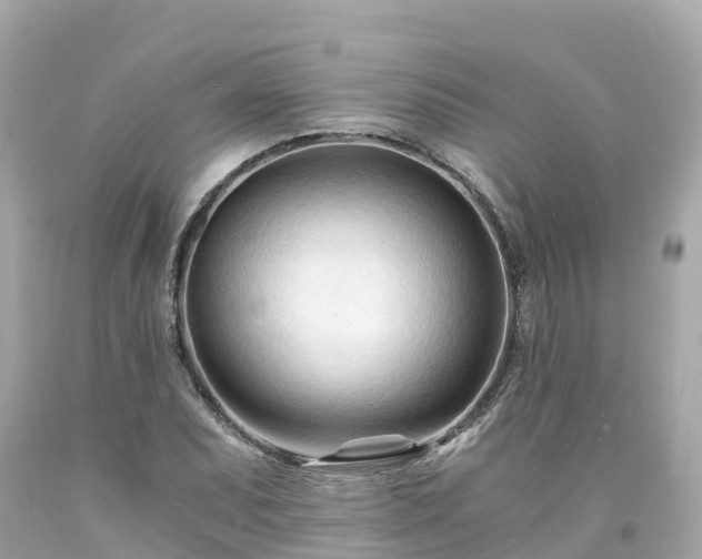 X0000094201071200711021046