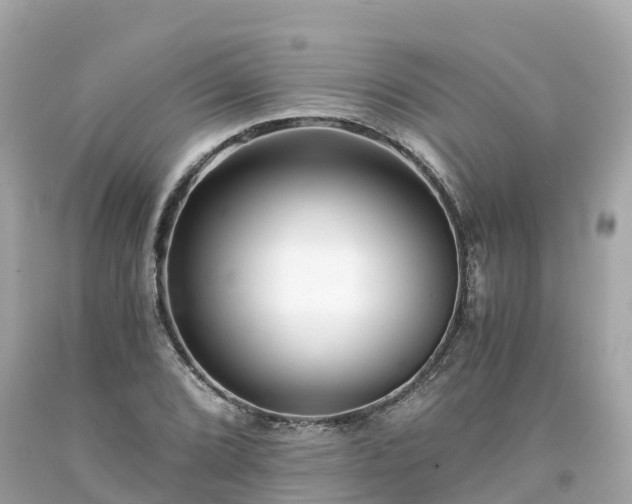 X0000094201072200711021046