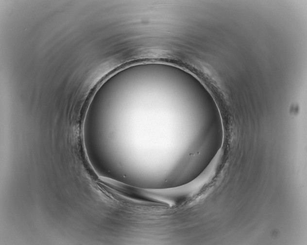 X0000094201073200711021046