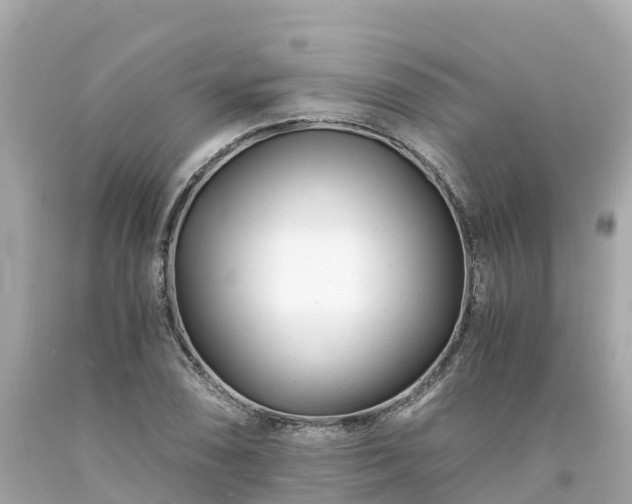 X0000094201074200711021046