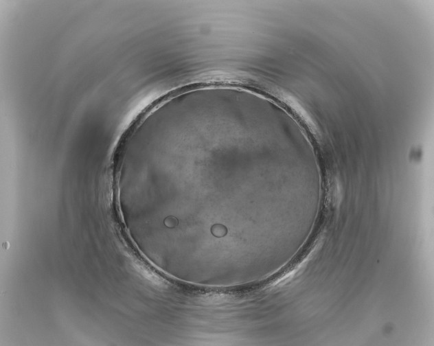 X0000094201075200711021046