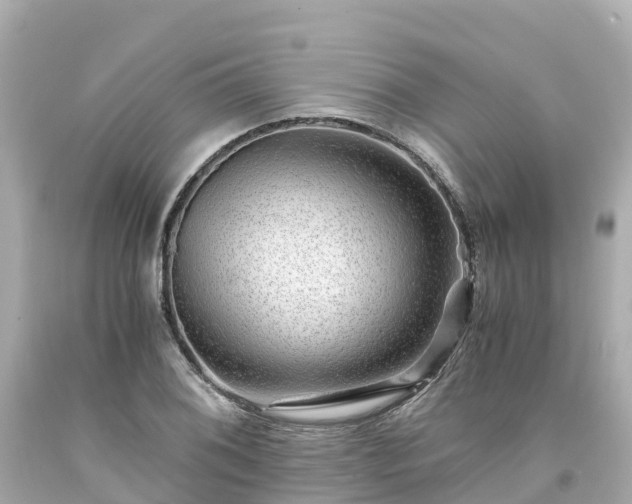 X0000094201076200711021046