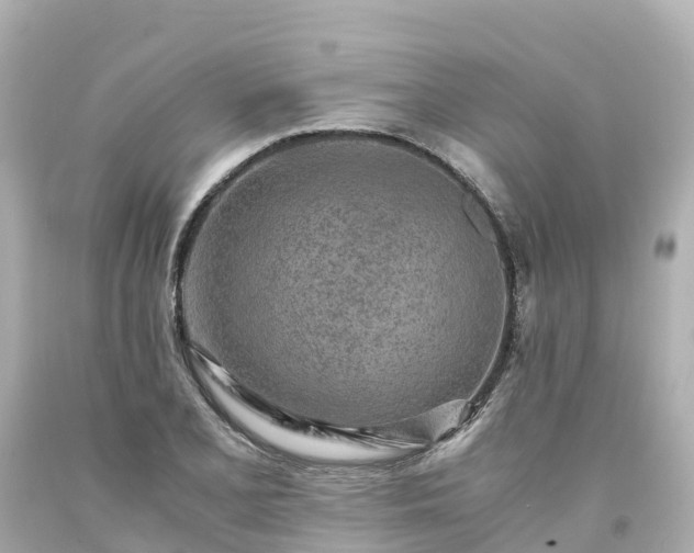 X0000094201077200711021046
