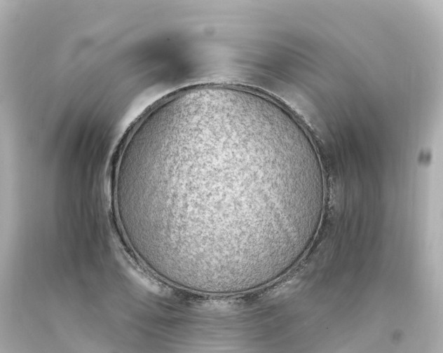X0000094201078200711021046
