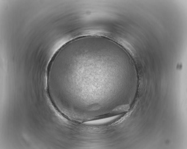 X0000094201079200711021046