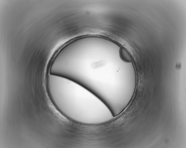 X0000094201080200711021046